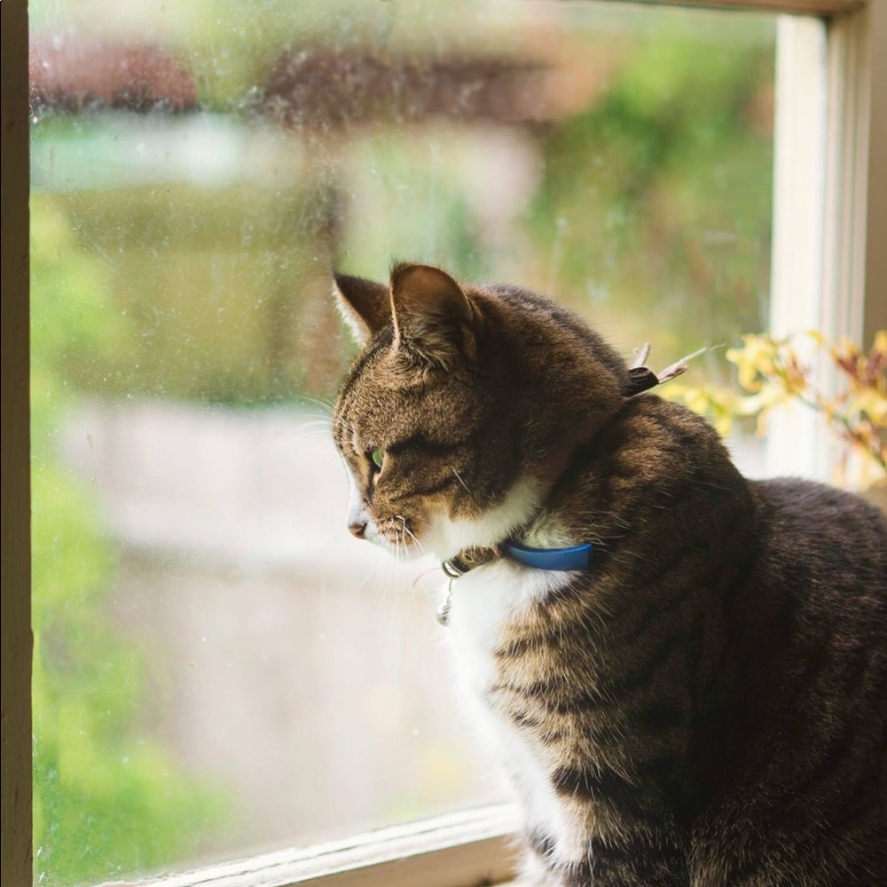 Meet your Posher, Elisabeth